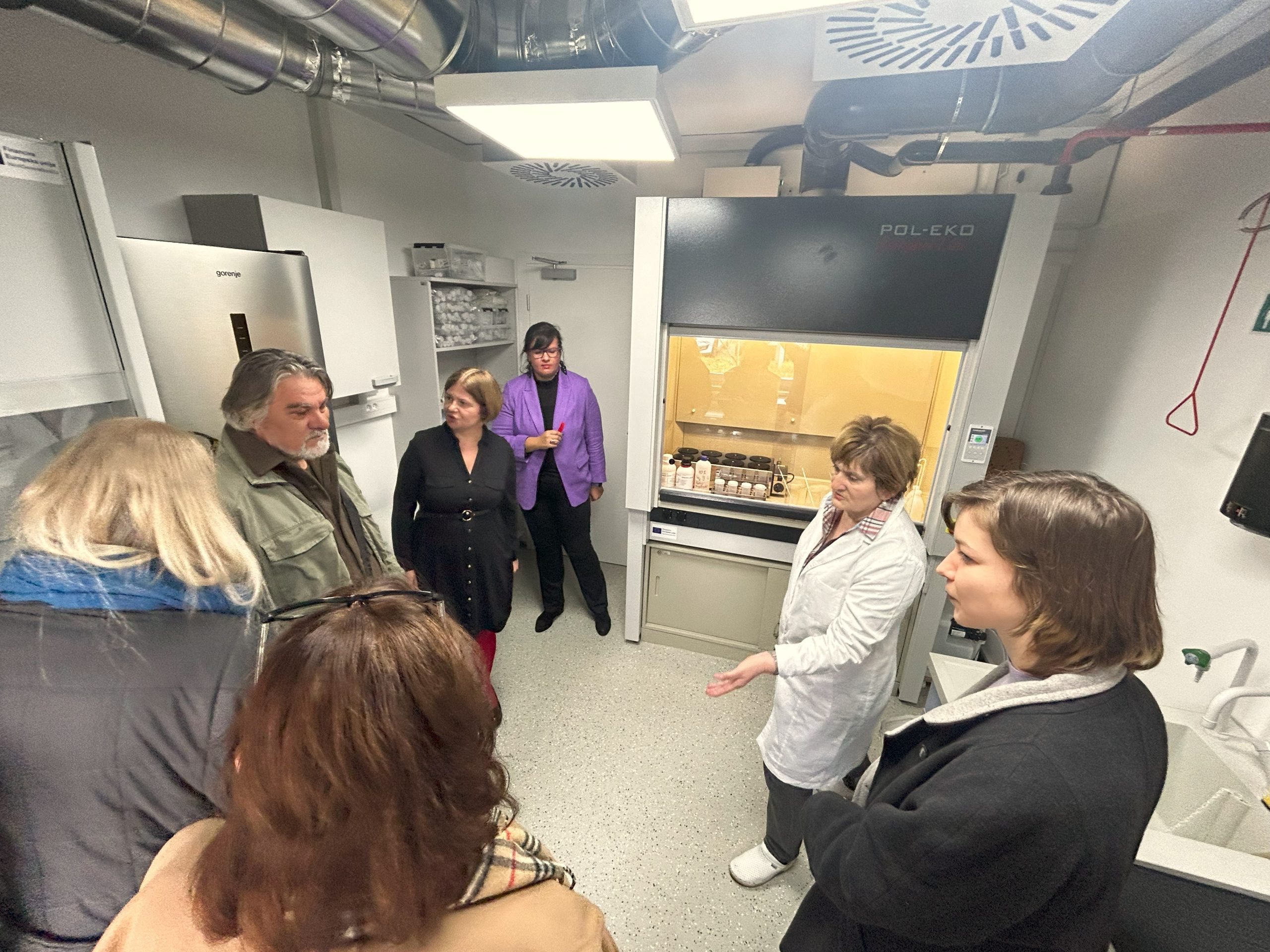 demonstracija modeliranja površine korištenjem SKUA-GOCAD softwarea